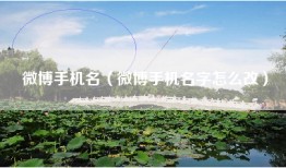 微博手机名（微博手机名字怎么改）