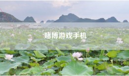 赌博游戏手机