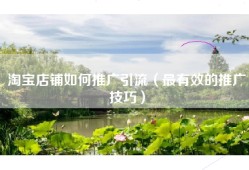 淘宝店铺如何推广引流（最有效的推广技巧）