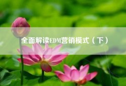 全面解读EDM营销模式（下）
