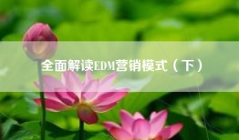 全面解读EDM营销模式（下）