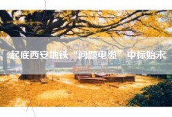 起底西安地铁“问题电缆”中标始末