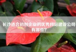 长沙适合初创企业的优秀网站建设公司有哪些？