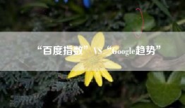 “百度指数”VS“Google趋势”