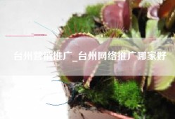 台州营销推广_台州网络推广哪家好