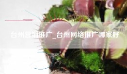 台州营销推广_台州网络推广哪家好