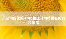 关键词优化的SEO秘籍提升网站排名的有效策略