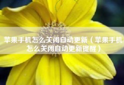苹果手机怎么关闭自动更新（苹果手机怎么关闭自动更新提醒）