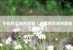 手机网页视频提取（手机网页视频提取工具免费）