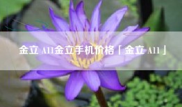 金立 A11金立手机价格「金立 A11」
