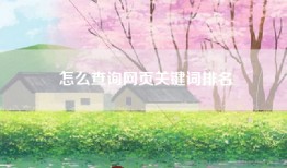 怎么查询网页关键词排名