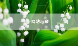 网站方案