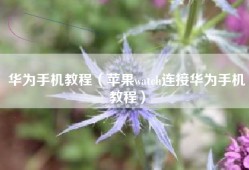 华为手机教程（苹果watch连接华为手机教程）