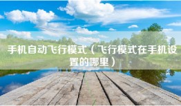 手机自动飞行模式（飞行模式在手机设置的哪里）