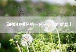 郑州SEO排名第一名分析【百度篇】