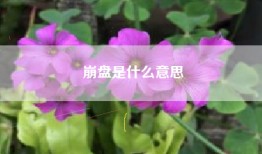 崩盘是什么意思