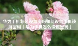 华为手机怎么设置密码如何设置手机锁屏密码「华为手机怎么设置密码」