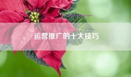 运营推广的十大技巧