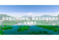 全球盘点网站排名，揭秘互联网世界的流量霸主