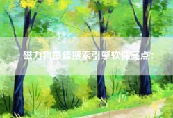 磁力狗最佳搜索引擎软件亮点：