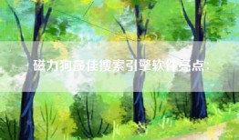 磁力狗最佳搜索引擎软件亮点：