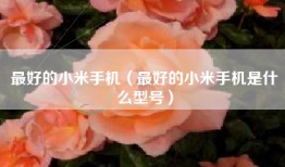 最好的小米手机（最好的小米手机是什么型号）