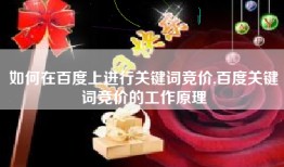 如何在百度上进行关键词竞价,百度关键词竞价的工作原理