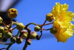河南平顶山：揪出涉虚假诉讼犯罪嫌疑人