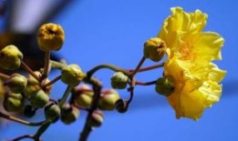 河南平顶山：揪出涉虚假诉讼犯罪嫌疑人