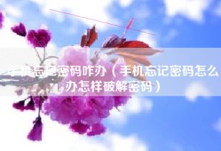手机忘记密码咋办（手机忘记密码怎么办怎样破解密码）