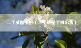 二手威图手机（二手威图手机出售）
