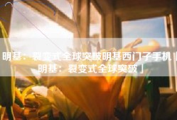 明基：裂变式全球突破明基西门子手机「明基：裂变式全球突破」