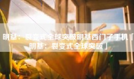 明基：裂变式全球突破明基西门子手机「明基：裂变式全球突破」