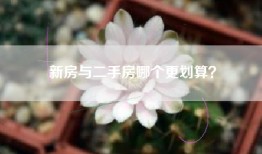 新房与二手房哪个更划算？