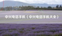 中兴电信手机（中兴电信手机大全）