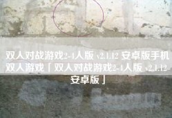 双人对战游戏2-4人版 v2.1.12 安卓版手机双人游戏「双人对战游戏2-4人版 v2.1.12 安卓版」