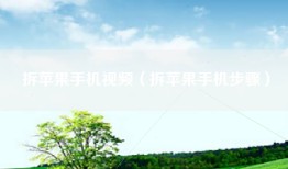 拆苹果手机视频（拆苹果手机步骤）