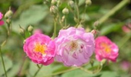 保利发展涨0.69%，成交额16.31亿元，该股当前无连续增减仓现象，主力趋势不明显