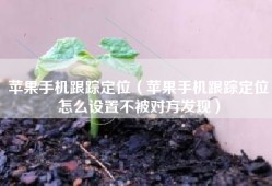 苹果手机跟踪定位（苹果手机跟踪定位怎么设置不被对方发现）