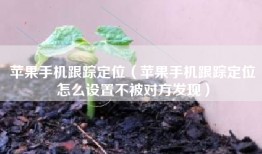 苹果手机跟踪定位（苹果手机跟踪定位怎么设置不被对方发现）