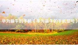 华为最牛的手机（华为最牛的手机型号）