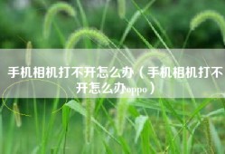 手机相机打不开怎么办（手机相机打不开怎么办oppo）