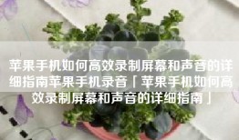 苹果手机如何高效录制屏幕和声音的详细指南苹果手机录音「苹果手机如何高效录制屏幕和声音的详细指南」