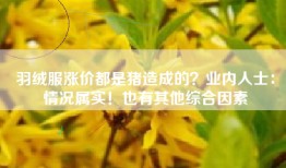 羽绒服涨价都是猪造成的？业内人士：情况属实！也有其他综合因素