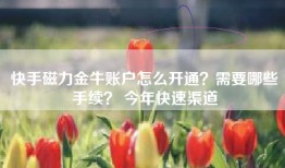快手磁力金牛账户怎么开通？需要哪些手续？ 今年快速渠道