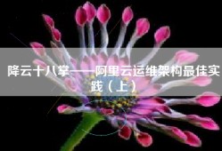 降云十八掌——阿里云运维架构最佳实践（上）