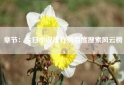 章节：今日小说排行榜百度搜索风云榜