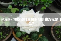 沪深30etf期权如何交易的规则和流程是什么？