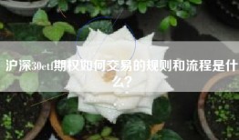 沪深30etf期权如何交易的规则和流程是什么？