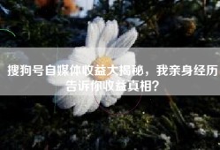搜狗号自媒体收益大揭秘，我亲身经历告诉你收益真相？